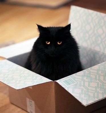 Дизайнерская печать на коробках из картона, 2
