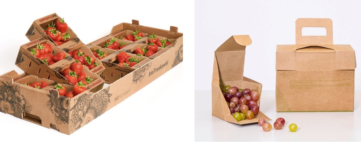 Упаковка для пищевых продуктов. Пример 4